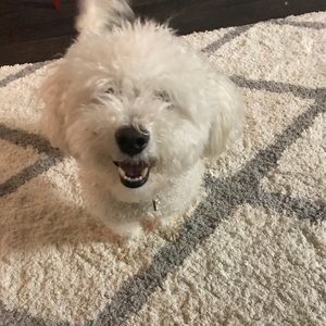 Meet your Posher, Turquoise